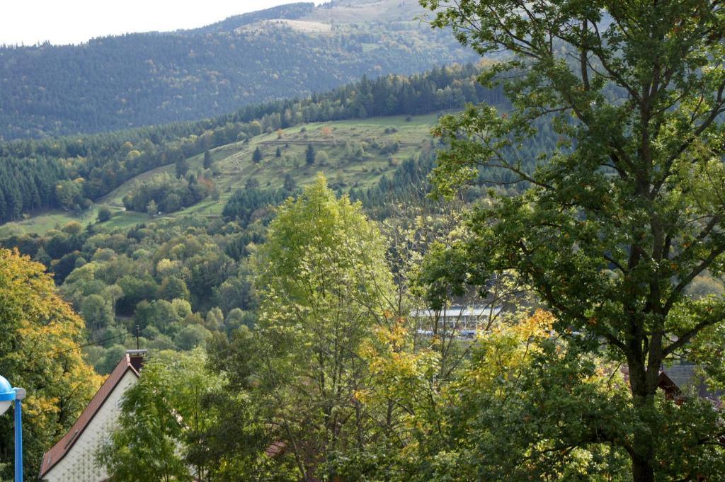 Hotel Restaurant Perle Des Vosges Muhlbach-sur-Munster ภายนอก รูปภาพ